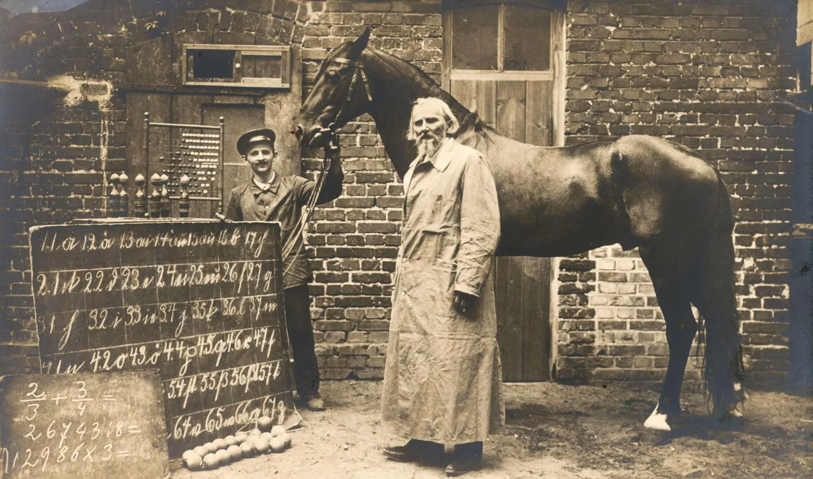 The horse Clever Hans performing arithmetic for a crowd alongside Wilhelm von Osten, c. 1904