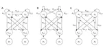Generalization of predictive coding model to dynamic stimuli