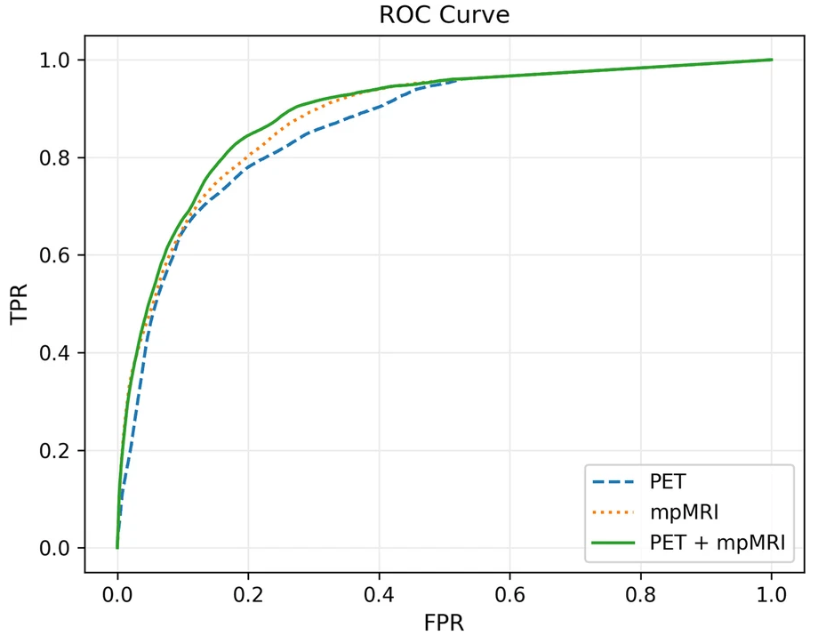 Receptive fields